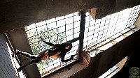 actiongirlsscottyjx001.jpg