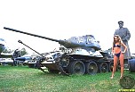 martinafoxtank002.jpg