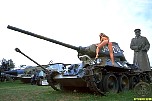 martinafoxtank022.jpg