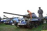 martinafoxtank059.jpg