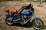 actiongirlsnancylanebikerbabe115.jpg