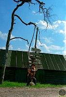actiongirlswildwest008.jpg