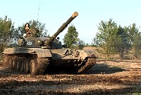 actiongirlsvzflamethrowerbabe065.jpg